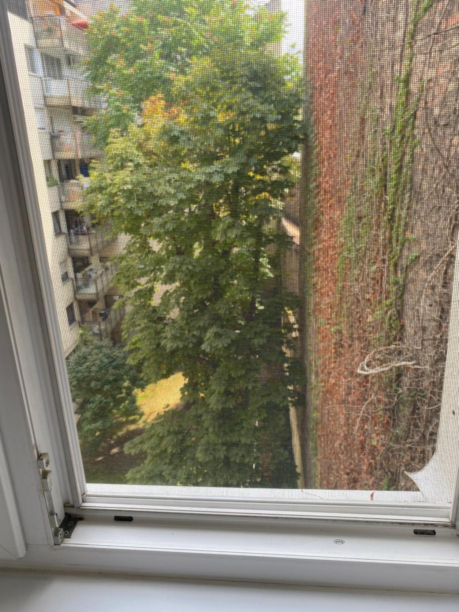 Budapest Oasis One Bedroom For Renting Eksteriør bilde